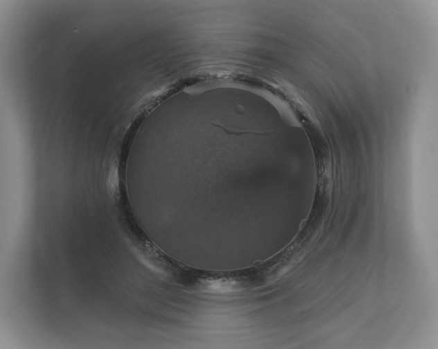 X0000112430500200908211203