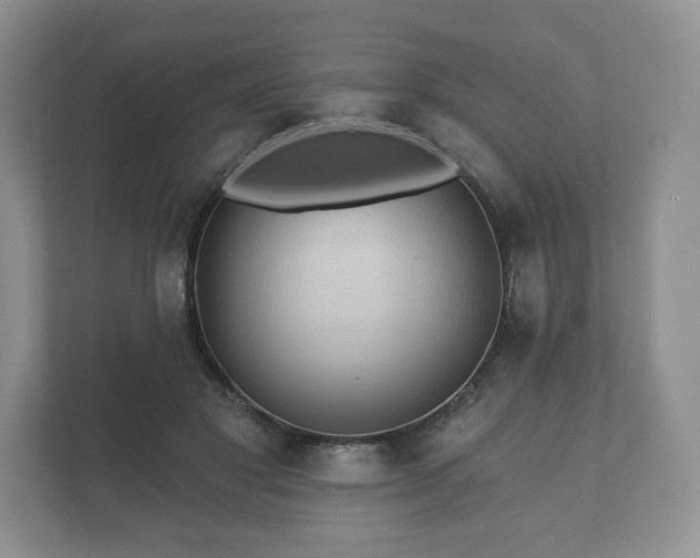 X0000112430501200908211203