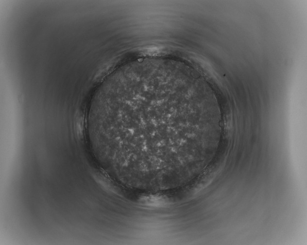 X0000112430503200908211203