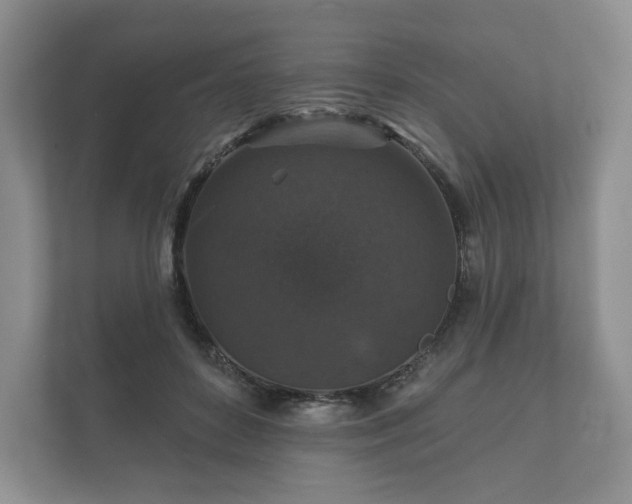 X0000112430504200908211203