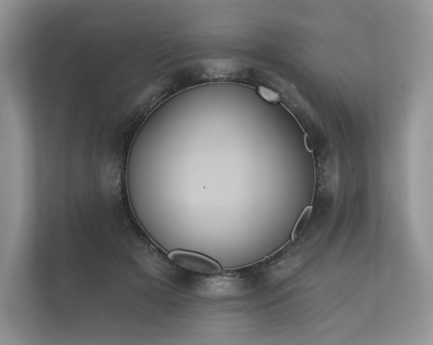 X0000112430505200908211203