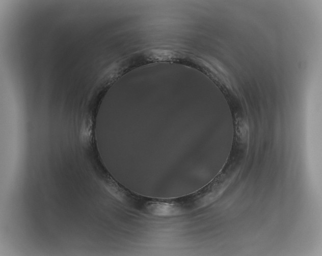 X0000112430507200908211203