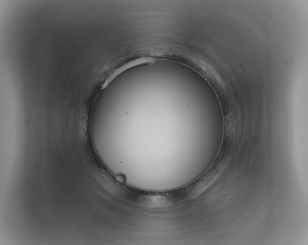 X0000112430509200908211203