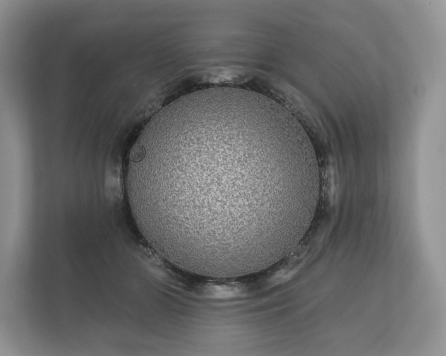 X0000112430510200908211203