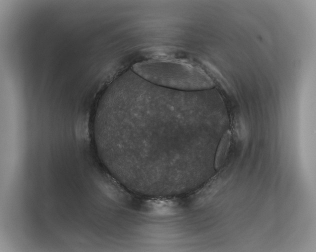 X0000112430512200908211203