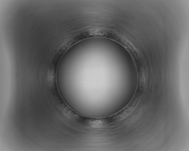X0000112430513200908211203