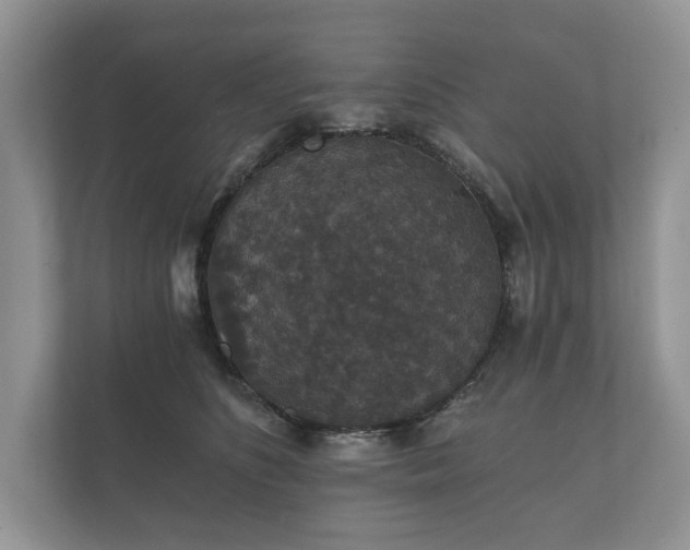 X0000112430516200908211203