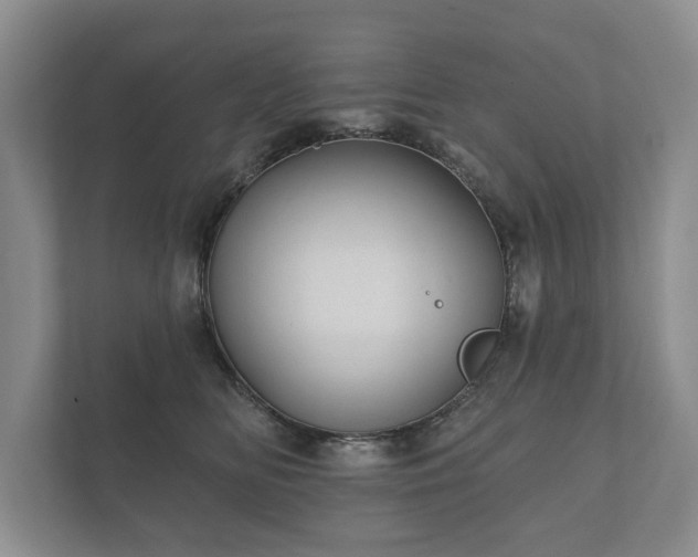 X0000112430518200908211203
