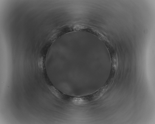X0000112430519200908211203