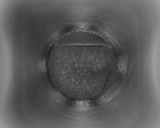X0000112430520200908211203
