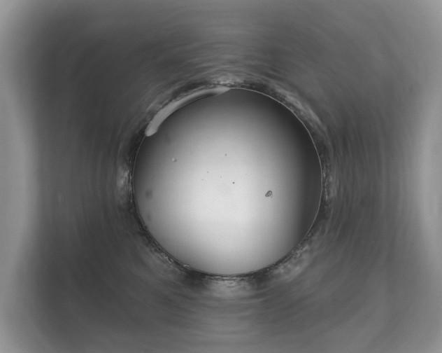 X0000112430521200908211203