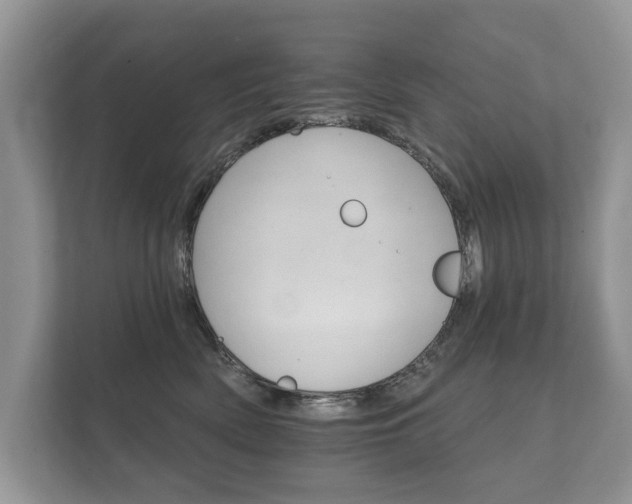 X0000112430522200908211203