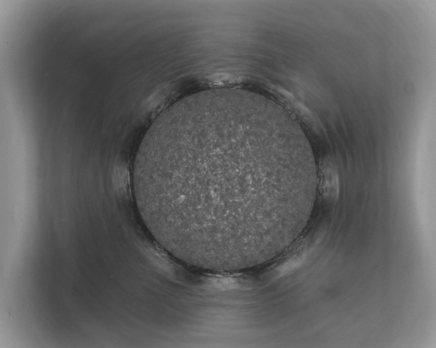 X0000112430523200908211203