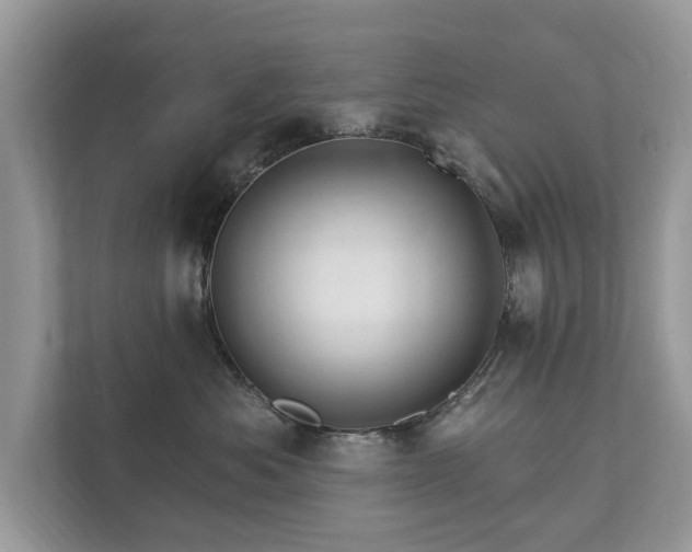 X0000112430525200908211203