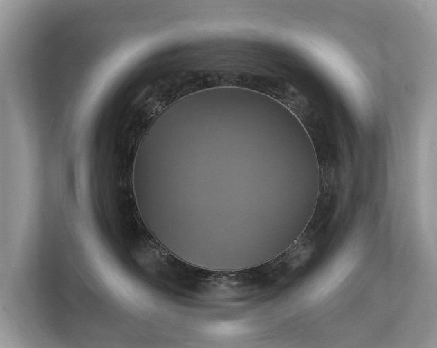 X0000112430526200908211203