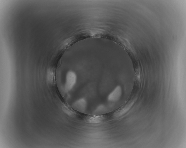 X0000112430527200908211203