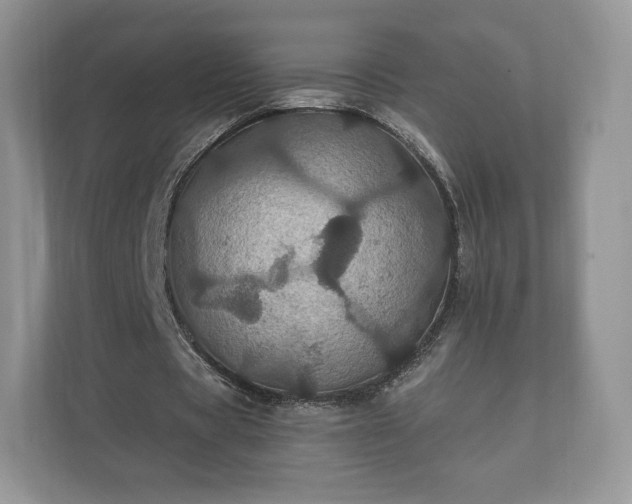X0000112430529200908211202