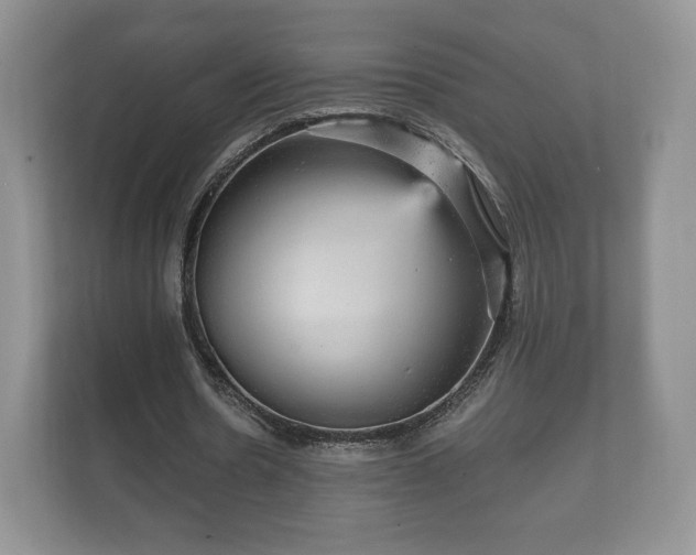 X0000112430530200908211202