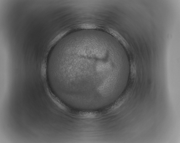 X0000112430533200908211202