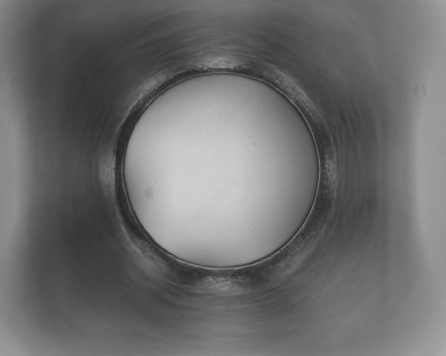X0000112430534200908211202