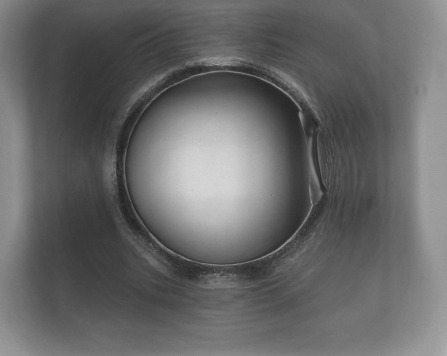 X0000112430535200908211202