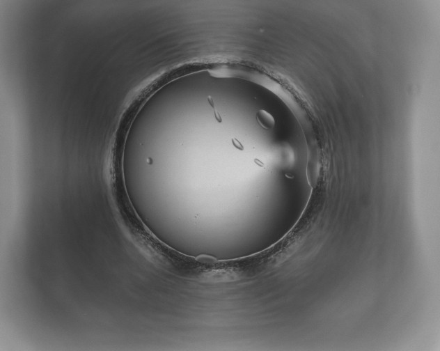 X0000112430536200908211202