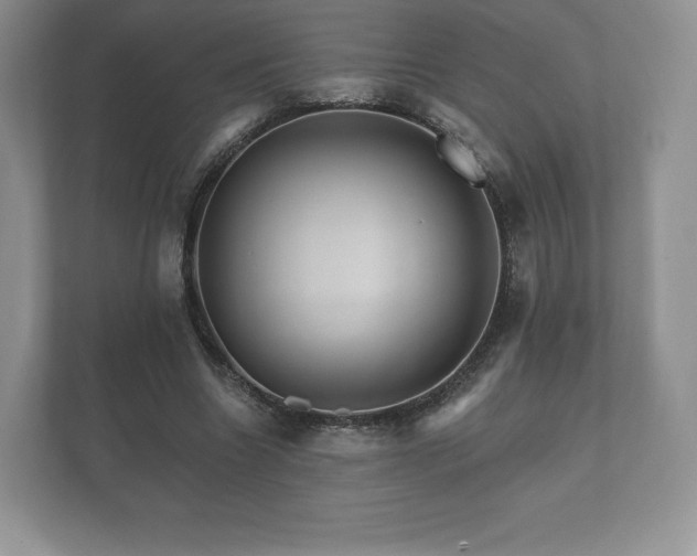 X0000112430538200908211202