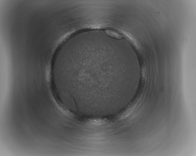 X0000112430540200908211202