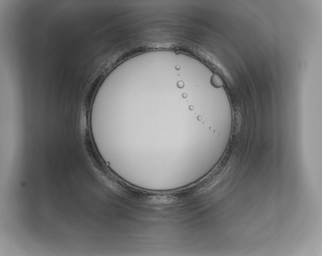 X0000112430541200908211202