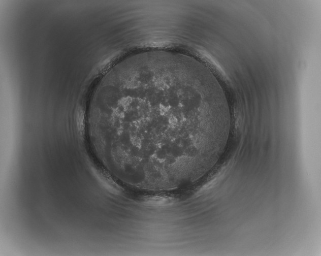 X0000112430542200908211202