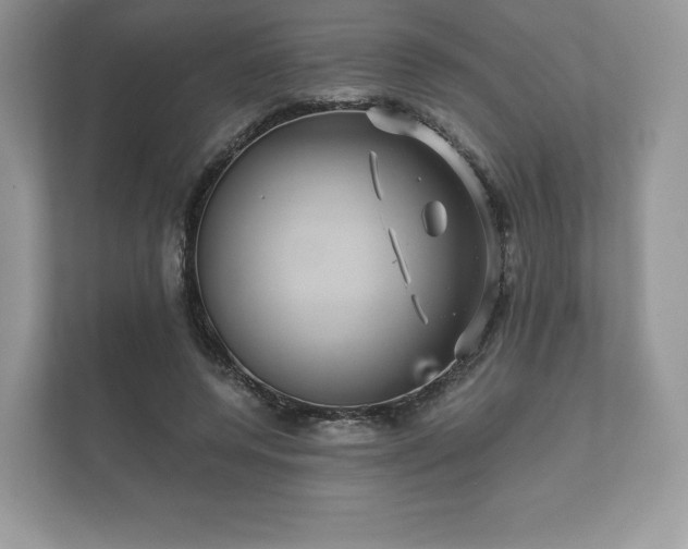 X0000112430544200908211202