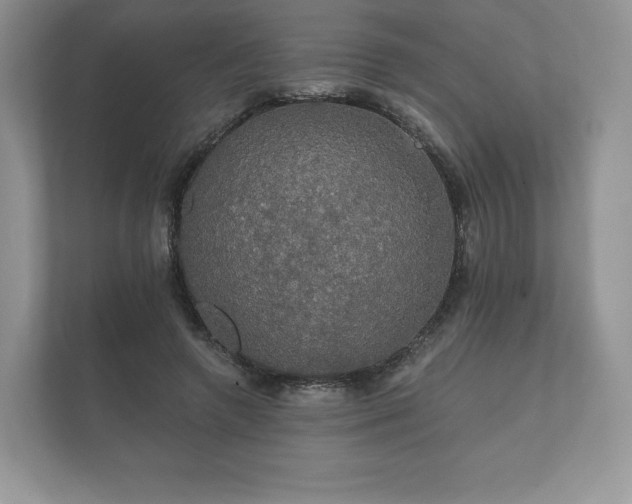 X0000112430546200908211202