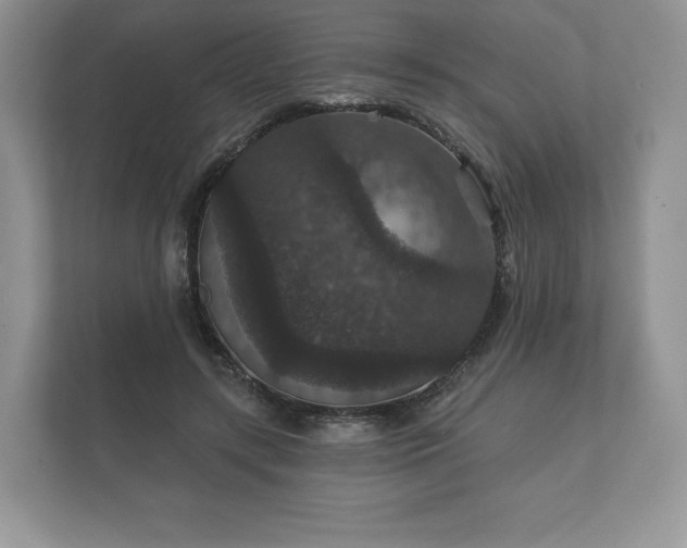 X0000112430547200908211202