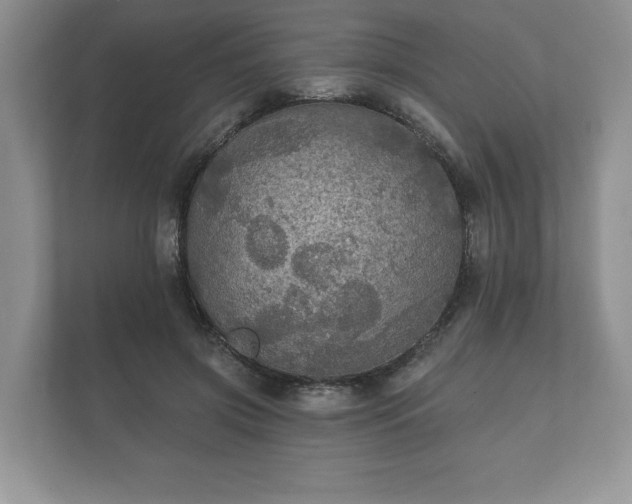X0000112430549200908211202
