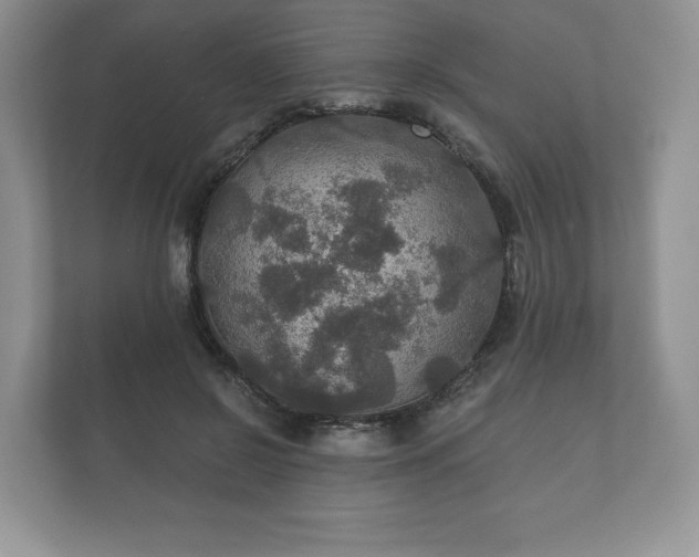 X0000112430550200908211203