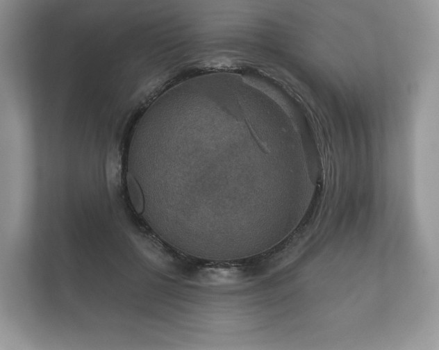 X0000112430552200908211203