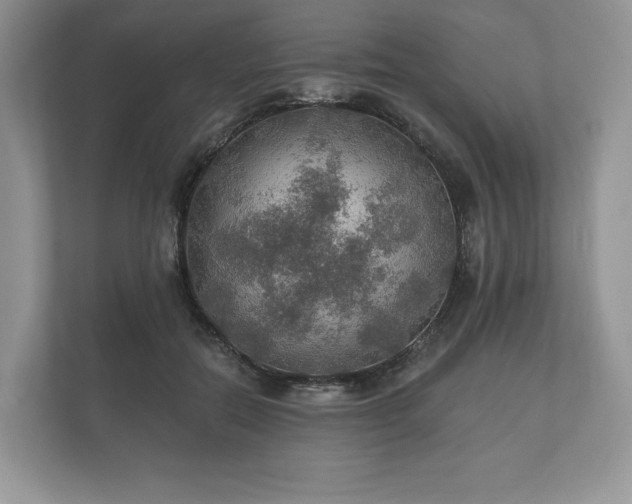 X0000112430554200908211203