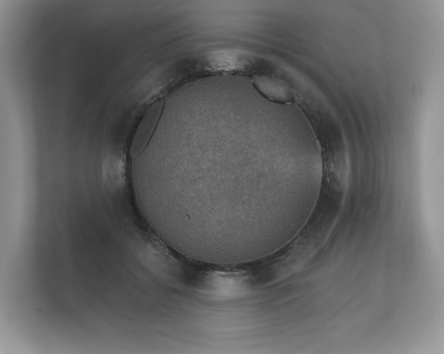 X0000112430556200908211203