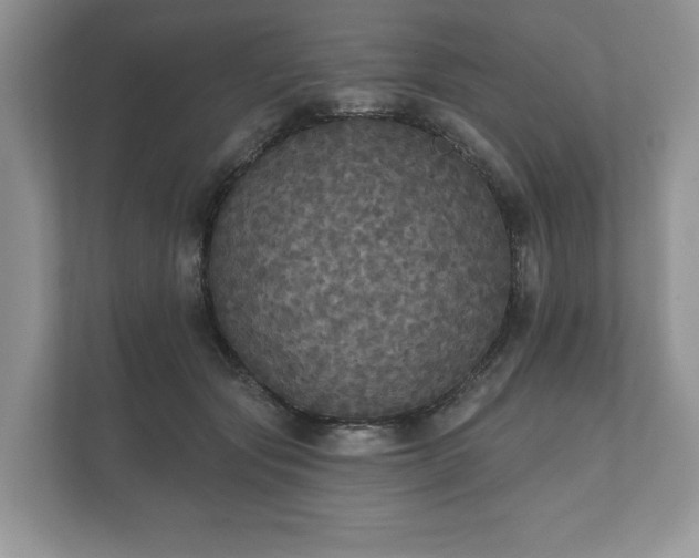 X0000112430557200908211203
