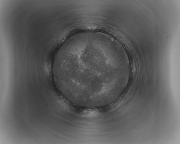 X0000112430559200908211203