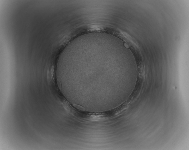X0000112430560200908211203