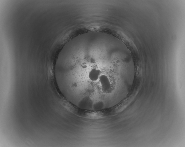 X0000112430561200908211203