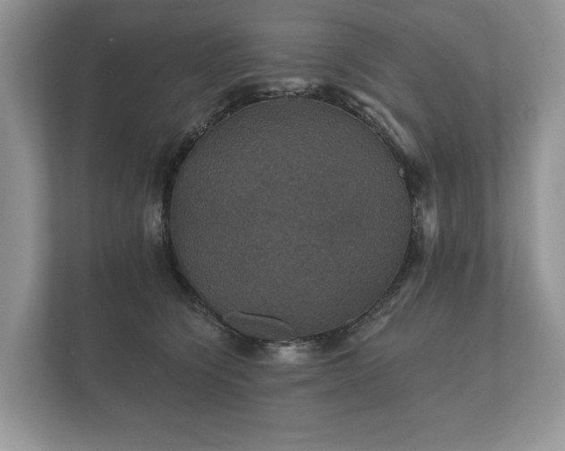 X0000112430564200908211203