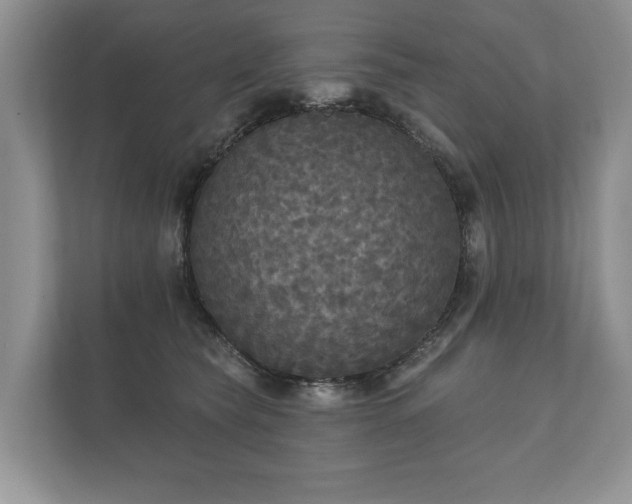X0000112430565200908211203