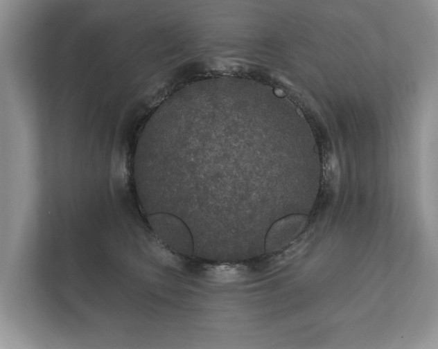 X0000112430566200908211203