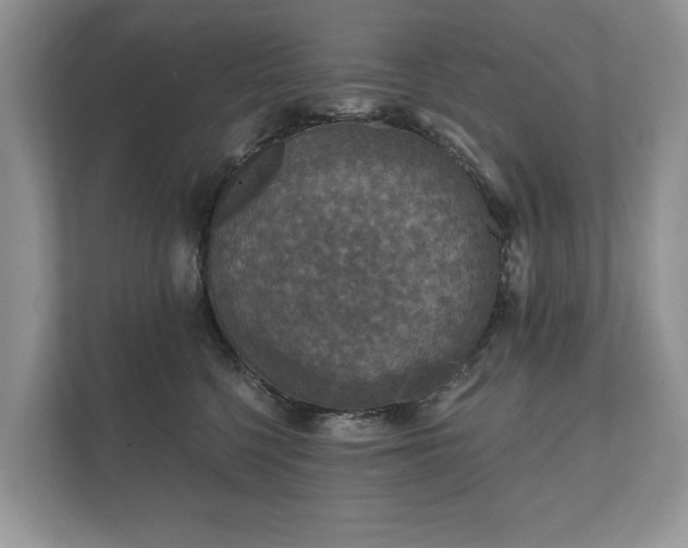 X0000112430568200908211203