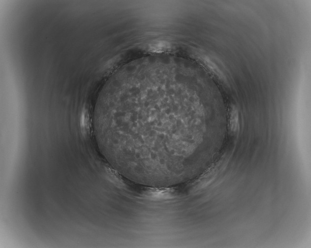 X0000112430569200908211203