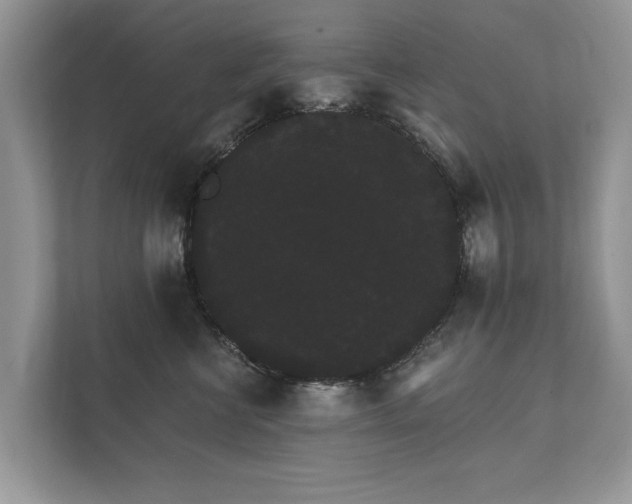 X0000112430570200908211203