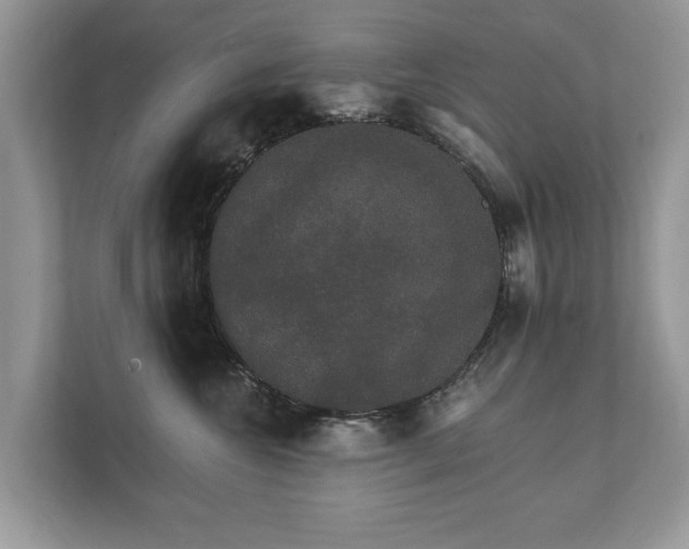 X0000112430572200908211203