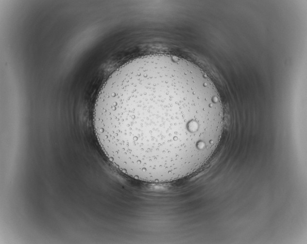 X0000112430573200908211203